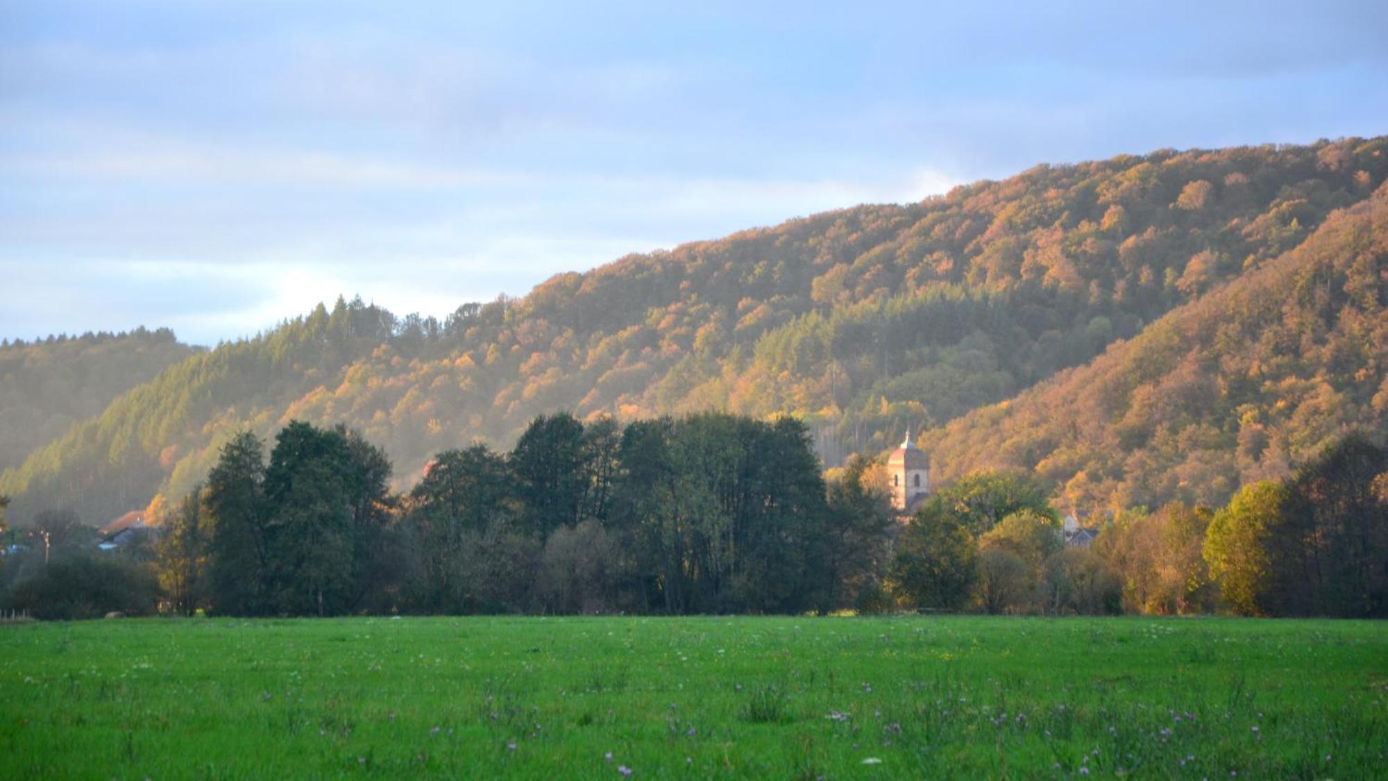 Chalet Des Aigrettes, Les 1000 Etangs La Voivre  외부 사진